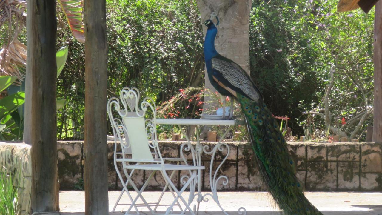 Dwaleni Farm Lodge Matsapha Esterno foto